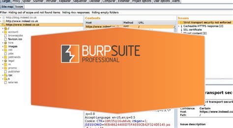 burp online|burp suite online tool.